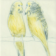 Original Etching - Budgies II