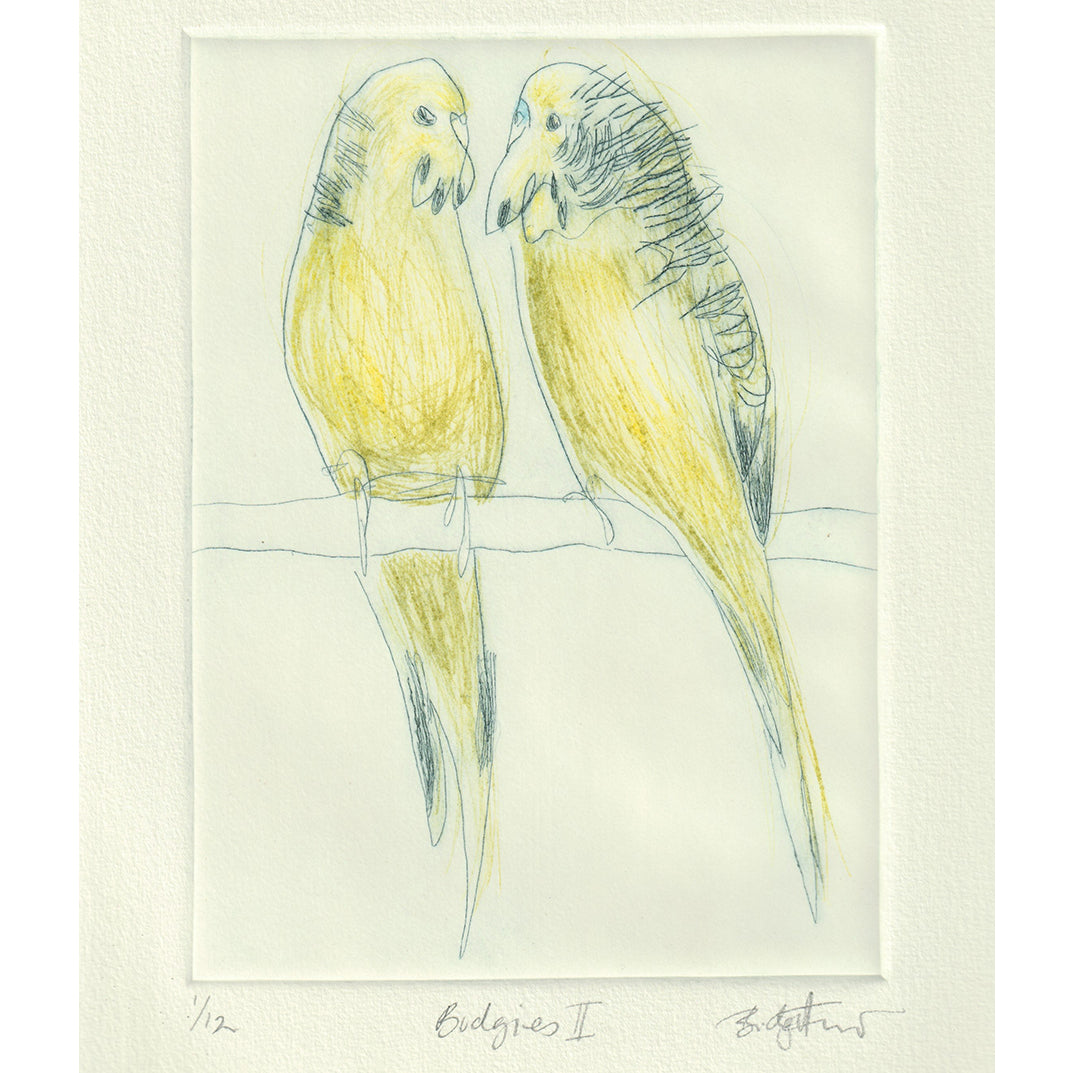 Original Etching - Budgies II