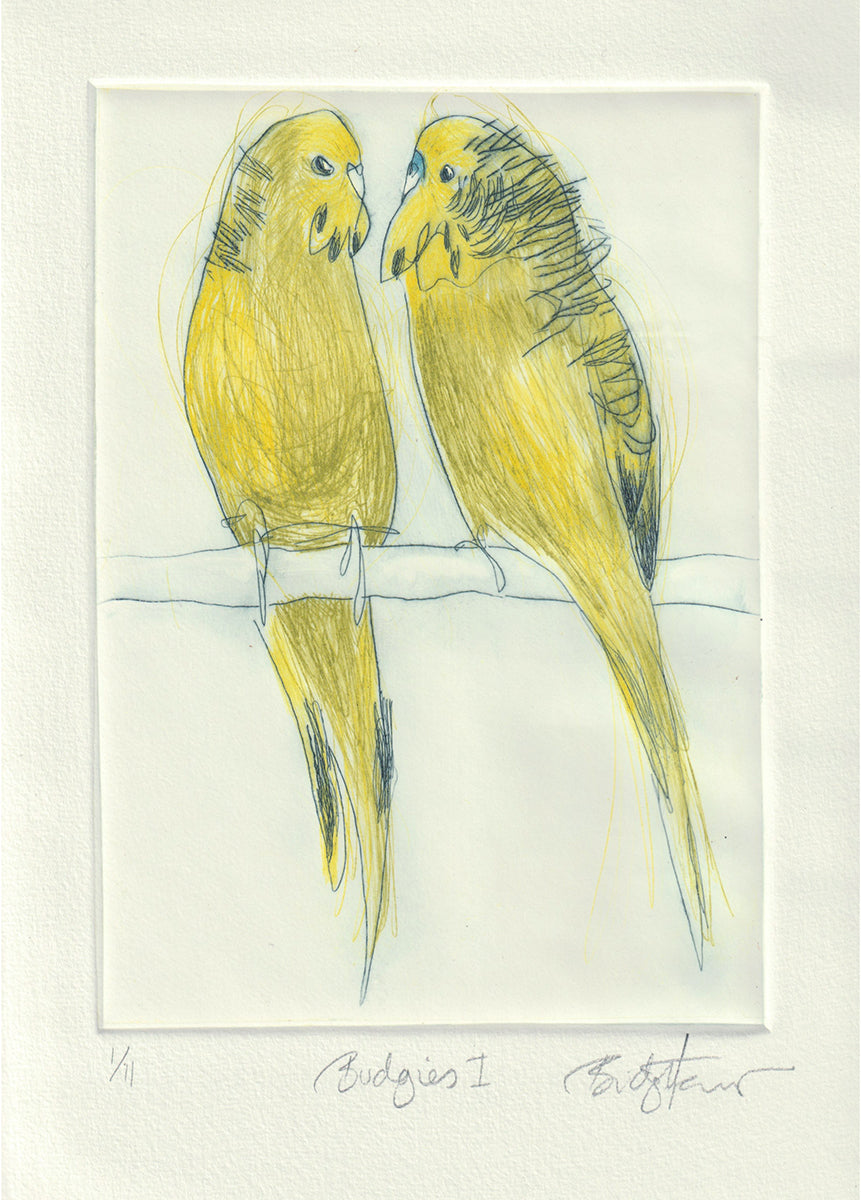 Original Etching - Budgies I
