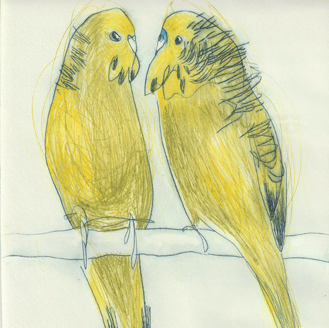 Original Etching - Budgies I