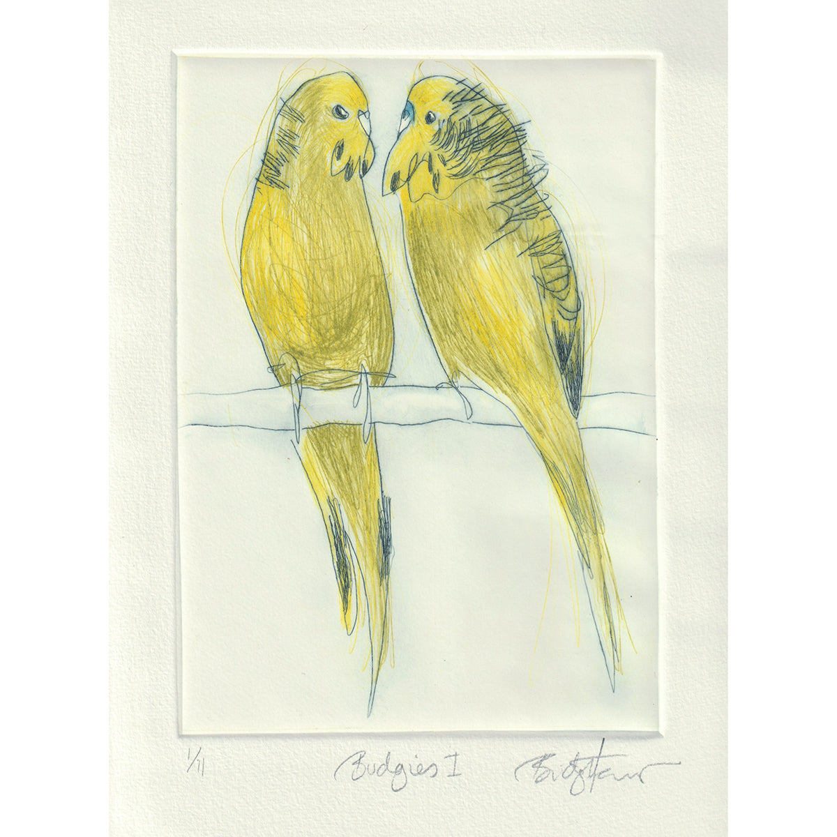 Original Etching - Budgies I