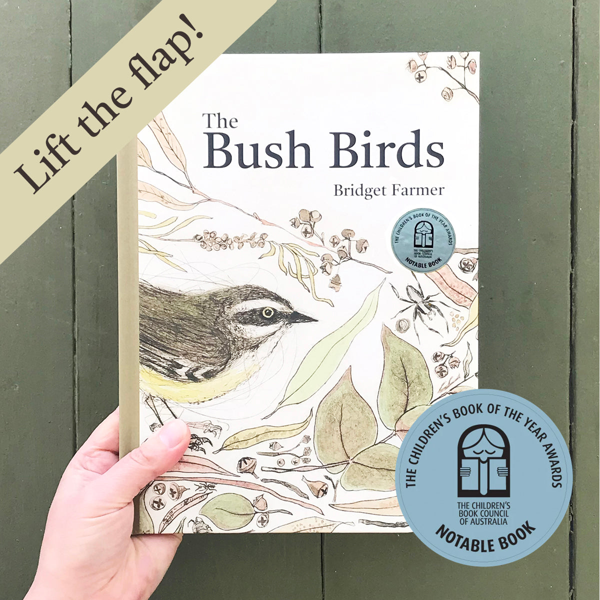 THE BUSH BIRDS - Lift The Flap Children's Bird Book by Bridget Farmer