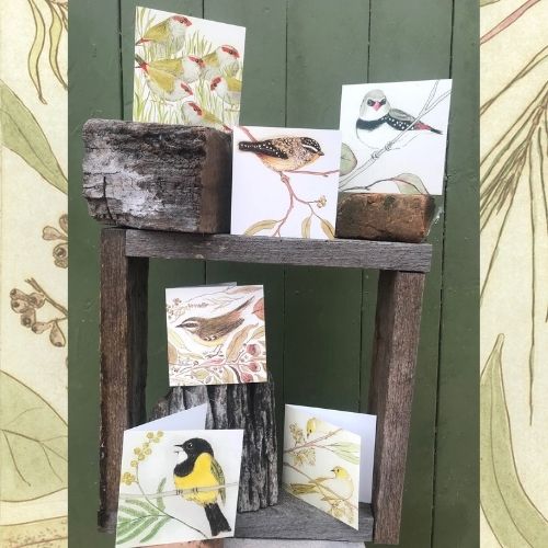 The Bush Birds - 6 Greeting Cards