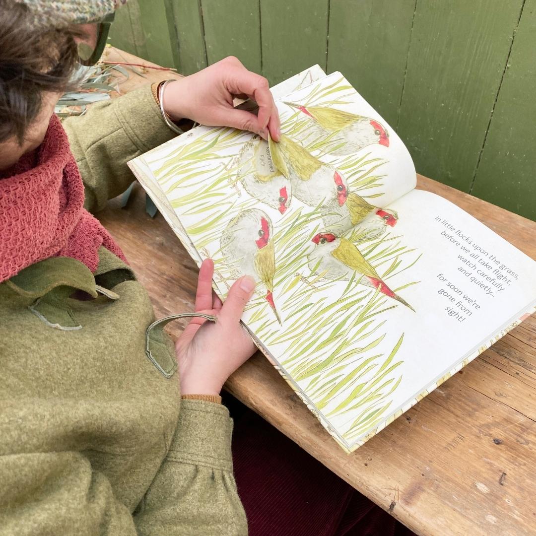 The Bush Birds - Lift The Flap Children's Bird Book