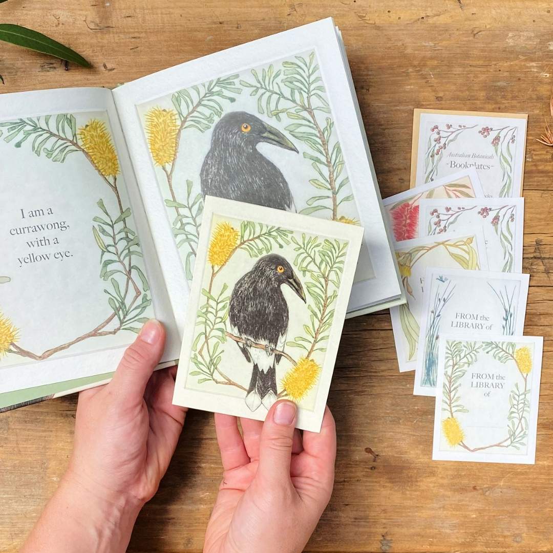 Collection Bundle - I am a Magpie I am a Currawong