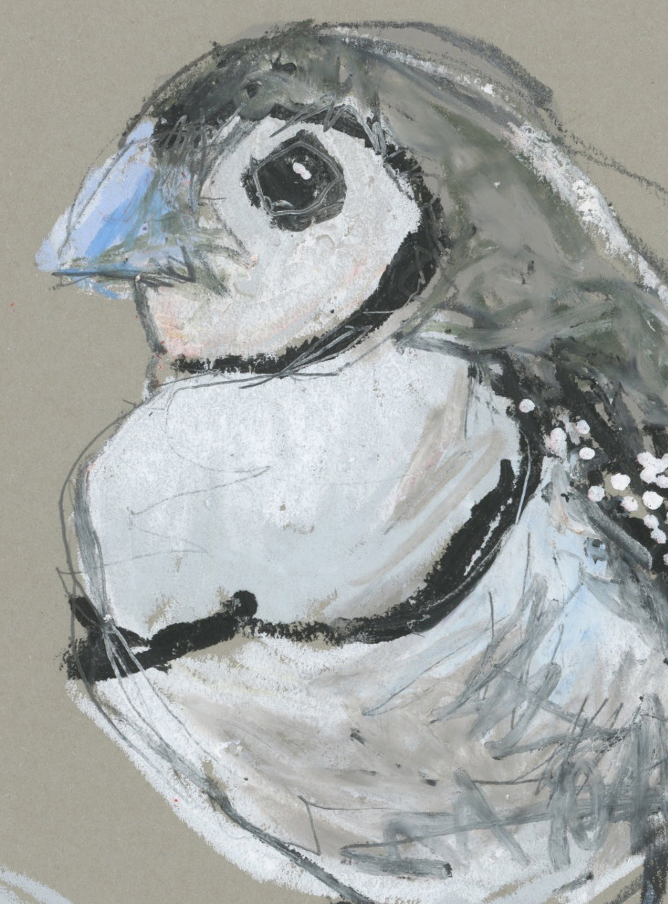 Double- Barred Finch - A5 Original Drawing (D37)
