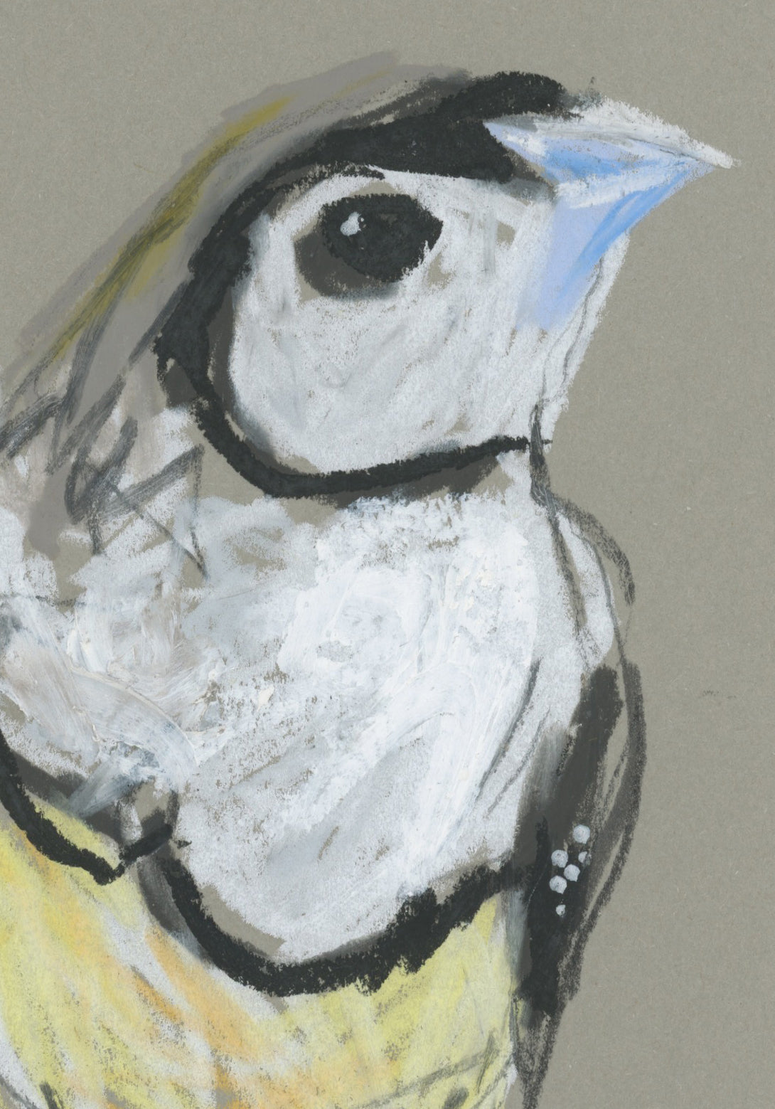 Double-barred Finch - A5 Original Drawing (D66)