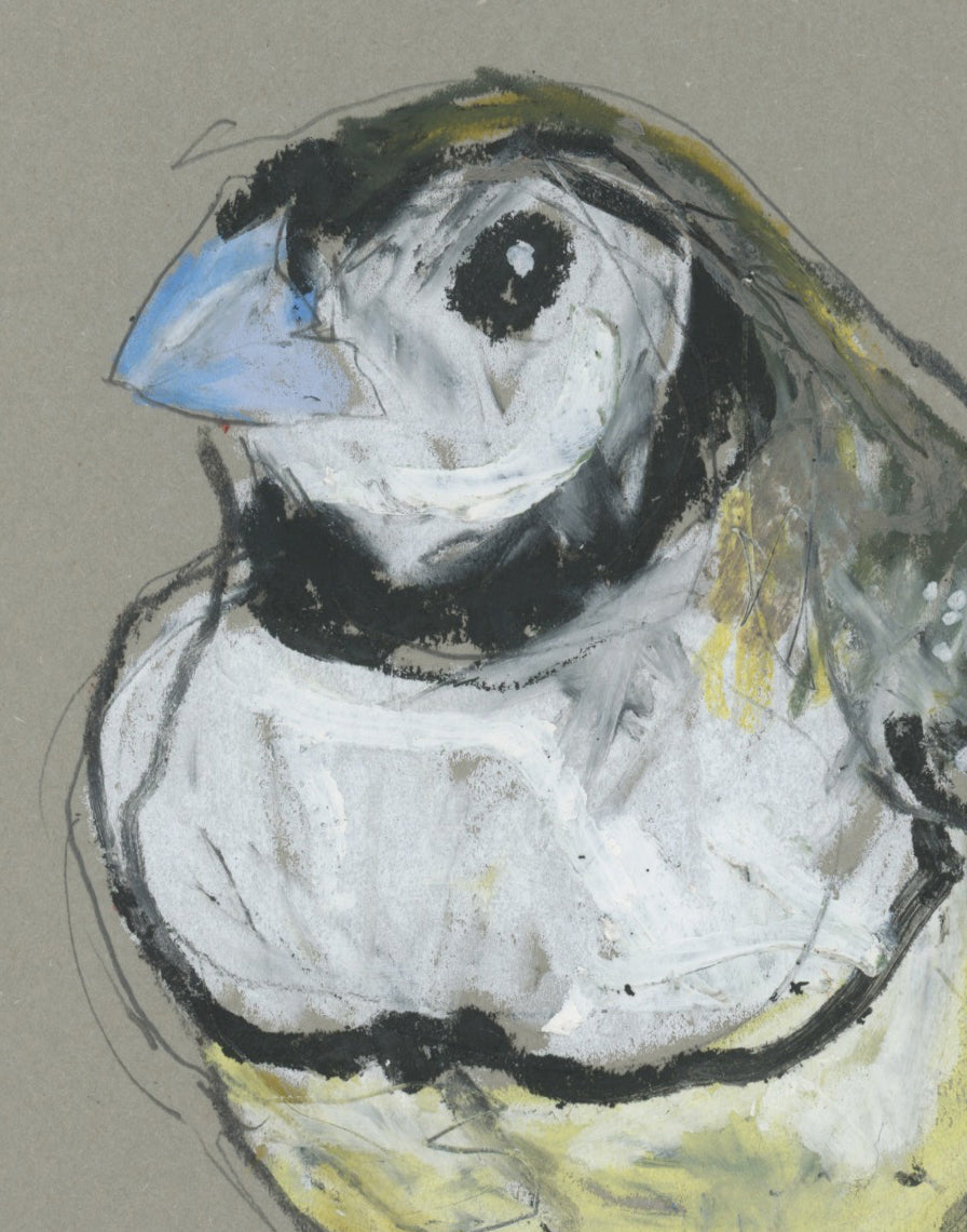 Double-barred Finch - A5 Original Drawing (D70)