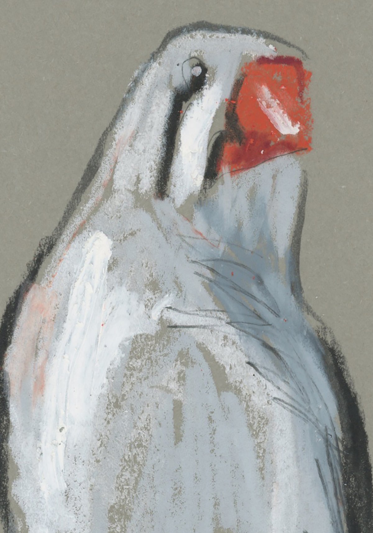 Female Zebra Finch - A5 Original Drawing (D72)