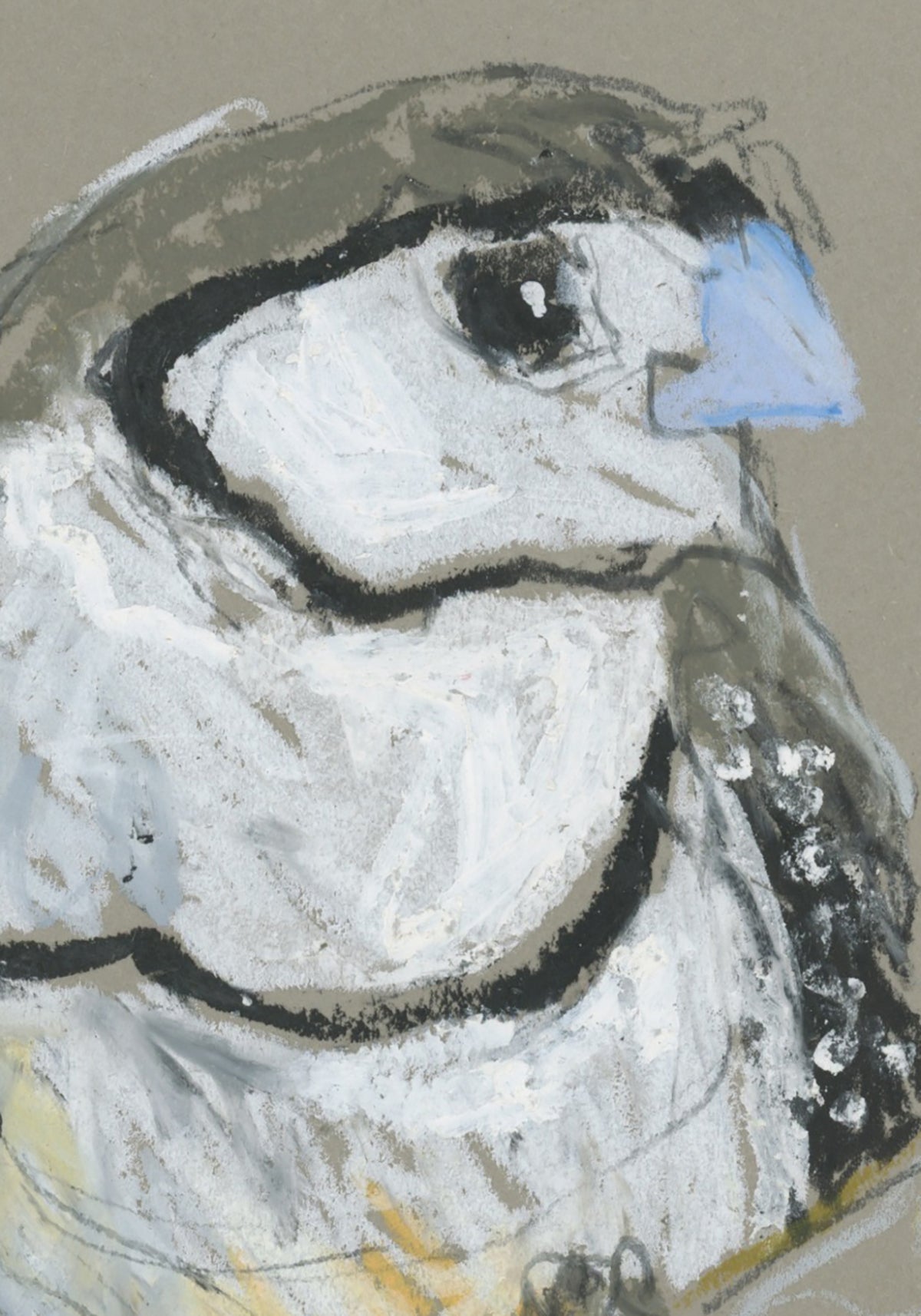 Double-barred Finch - A5 Original Drawing (D74)
