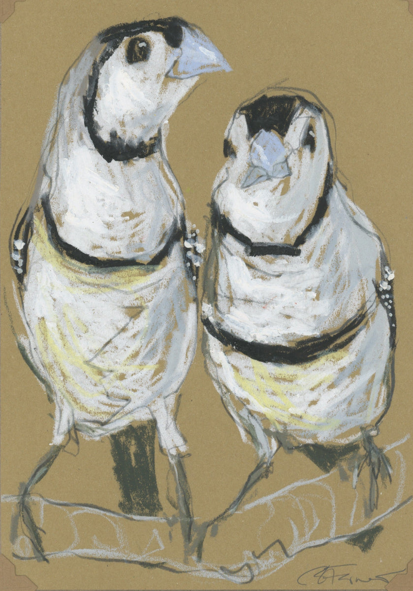 a double-barred finch pair drawn in oil pastels and graphite by Bridget Farmer