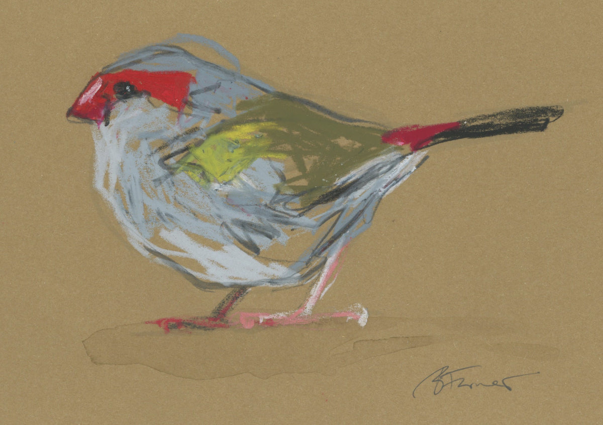 a red-browed finch drawn in oil pastels and graphite by Bridget Farmer