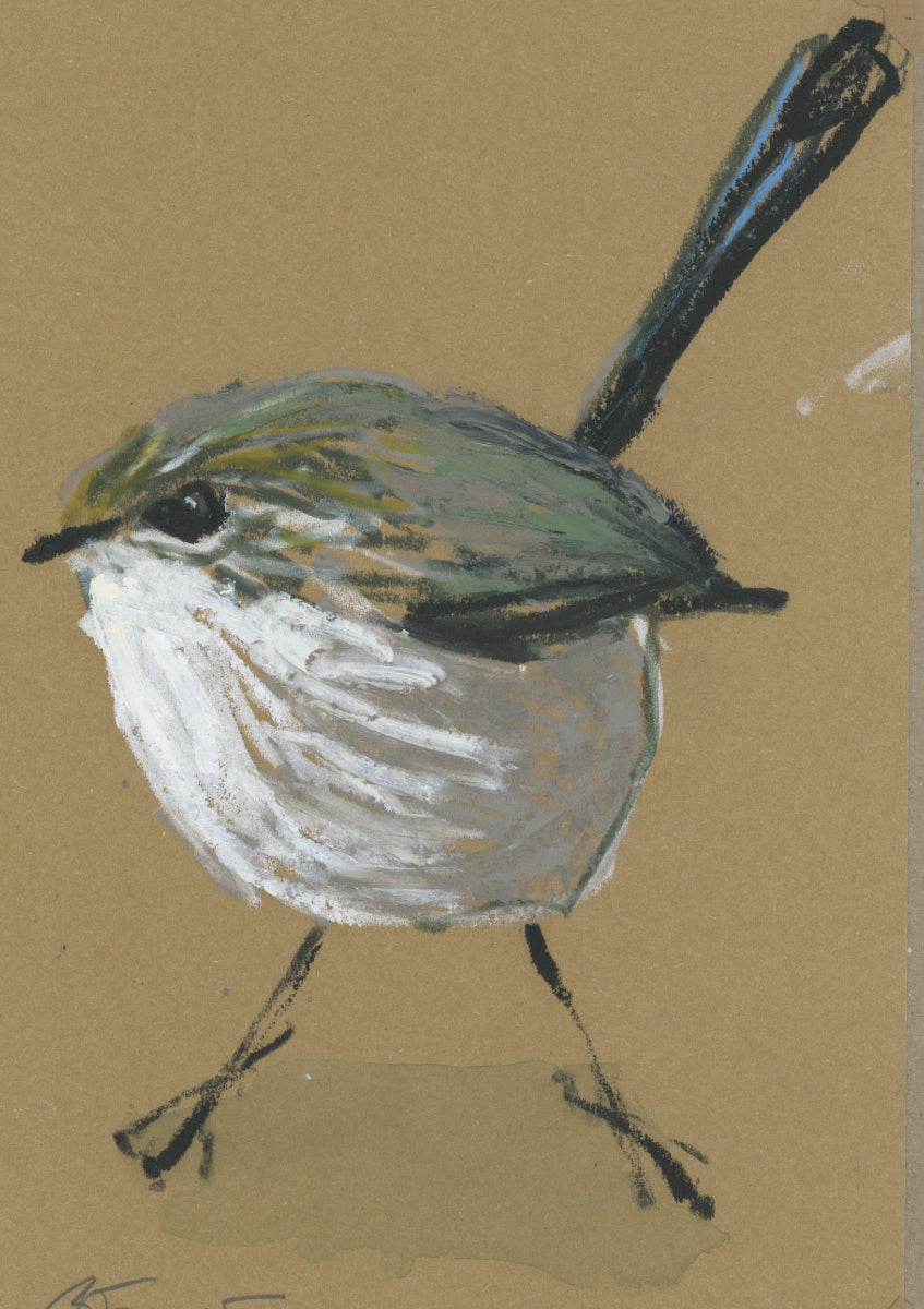 a varigated fairywren drawn in oil pastel and graphite by Bridget Farmer