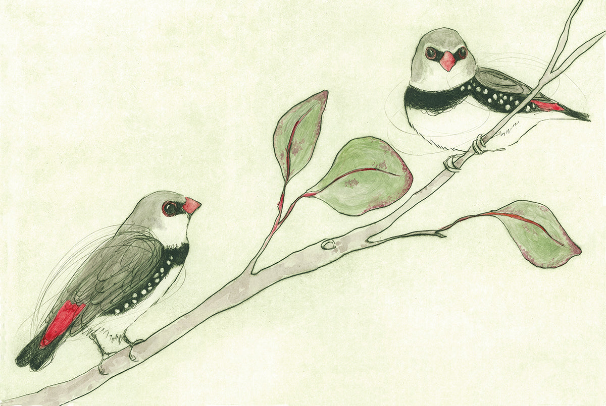 Diamond Firetails Washi (30mm)