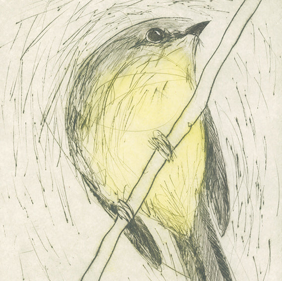 Original Etching - Eastern Yellow Robin