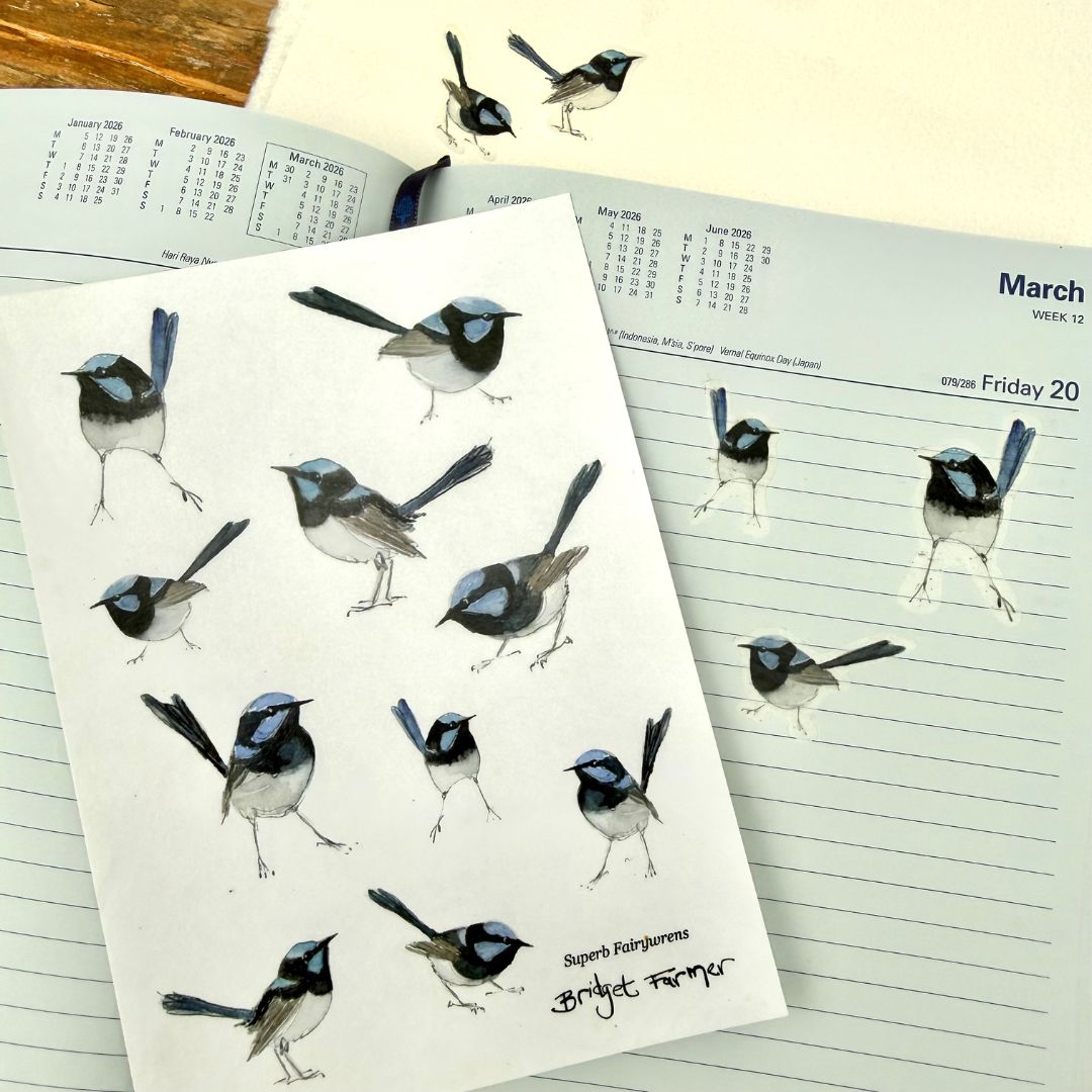 Superb Fairywren Washi Sticker Sheet (A6)