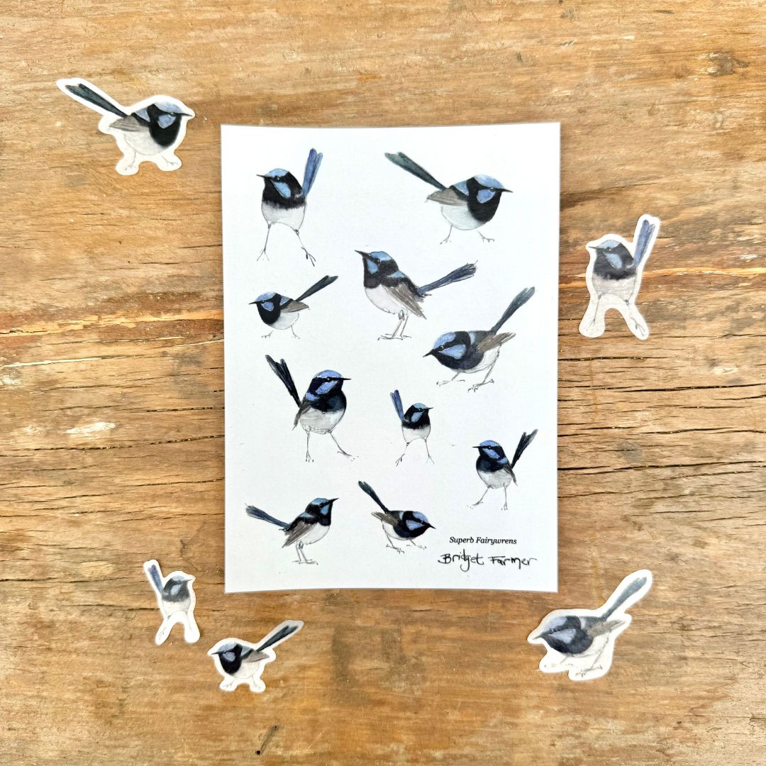 Wren Sticker Superb Fairywren Washi Sticker Sheet (A6) – Bridget Farmer