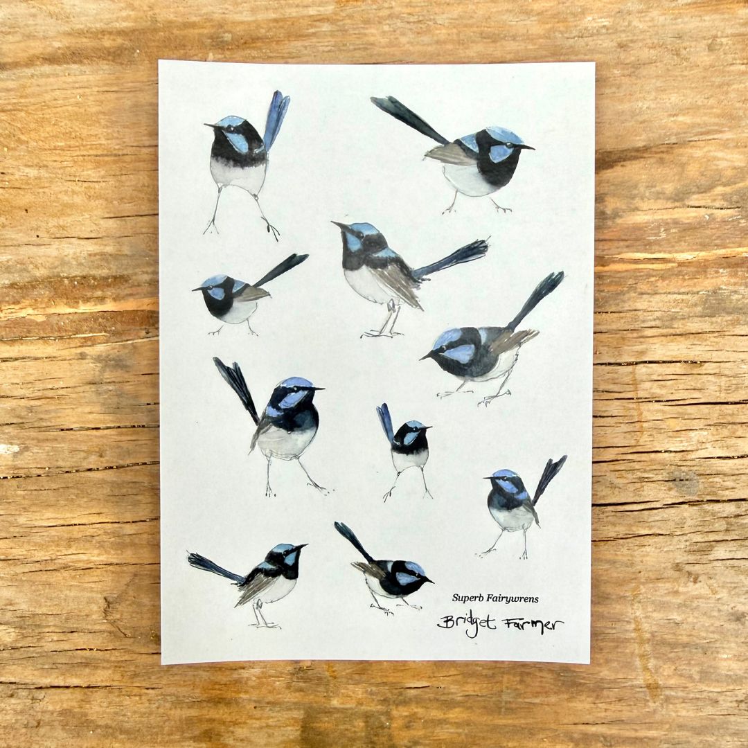 Superb Fairywren Washi Sticker Sheet (A6)