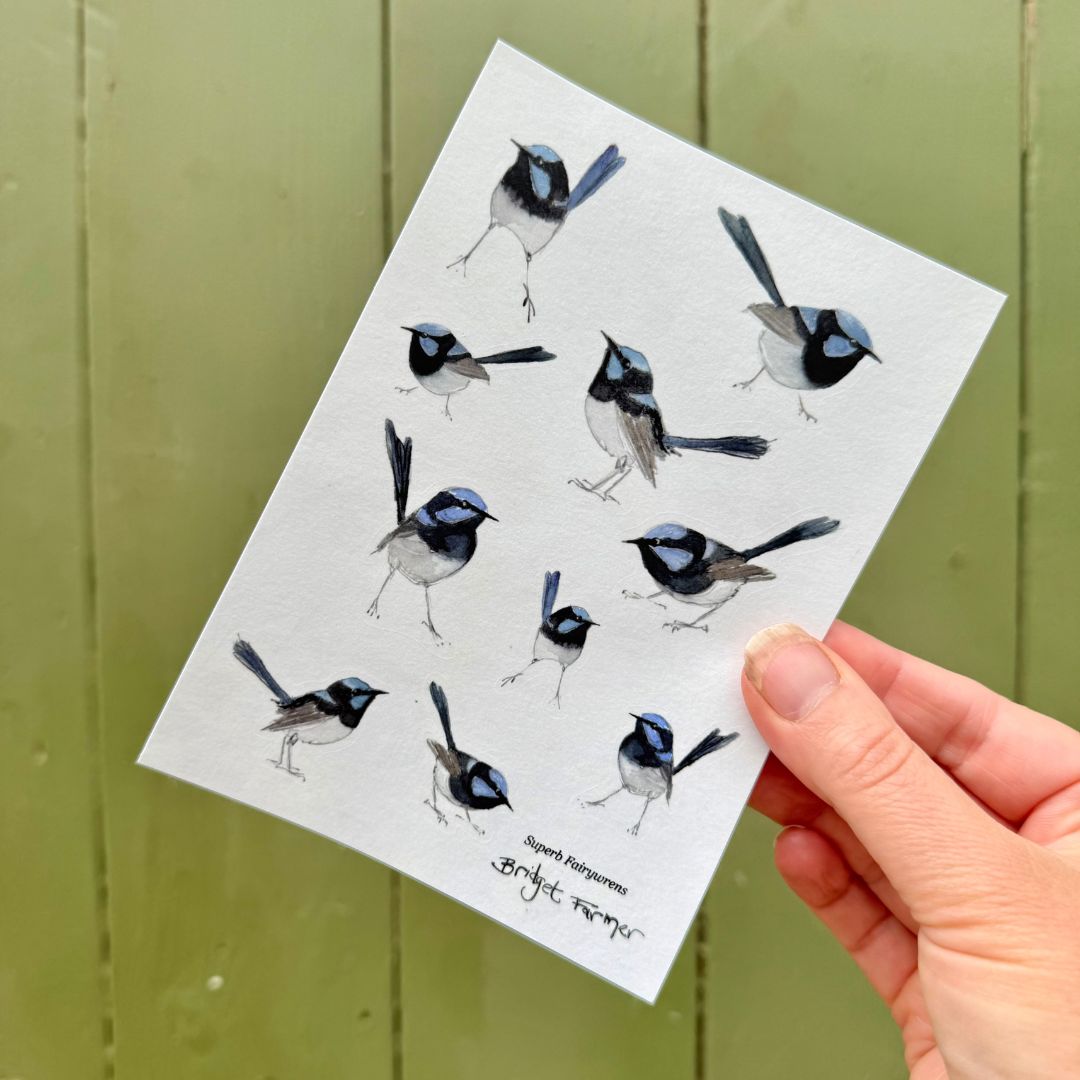 Superb Fairywren Washi Sticker Sheet (A6)