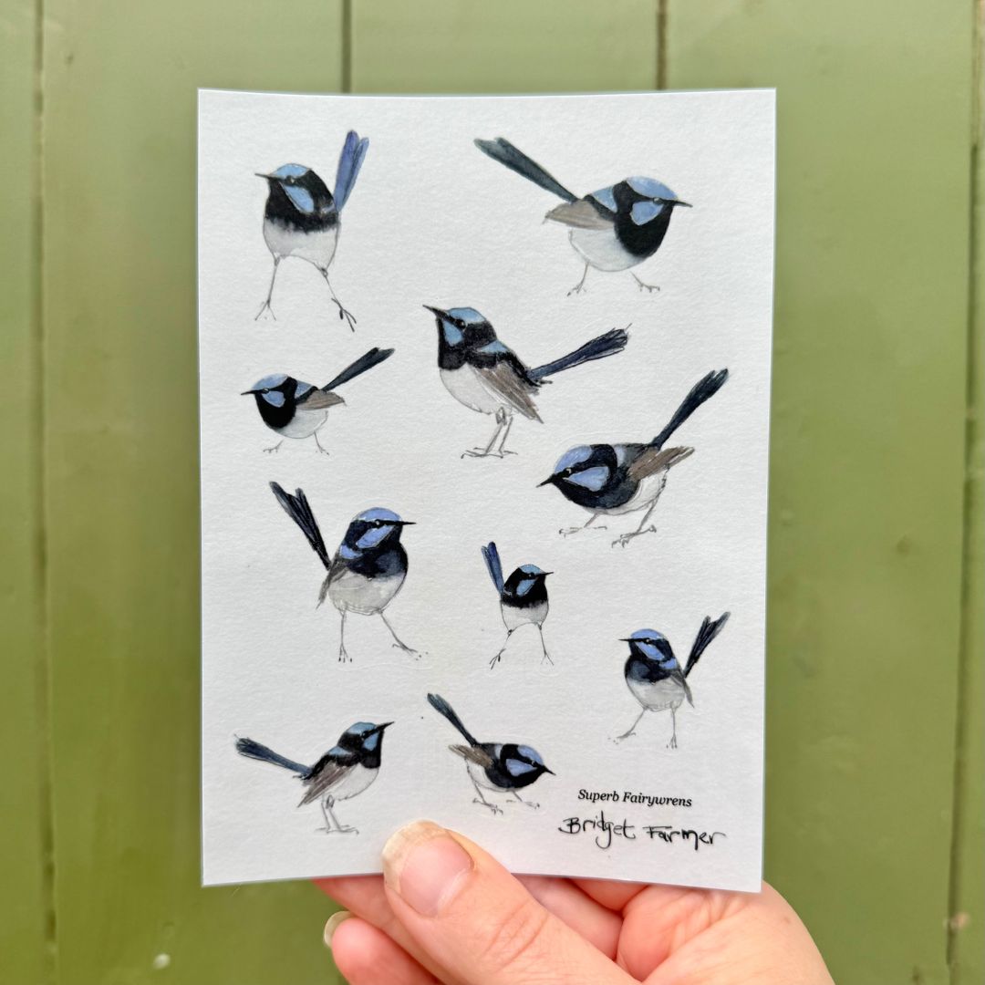 Superb Fairywren Washi Sticker Sheet (A6)