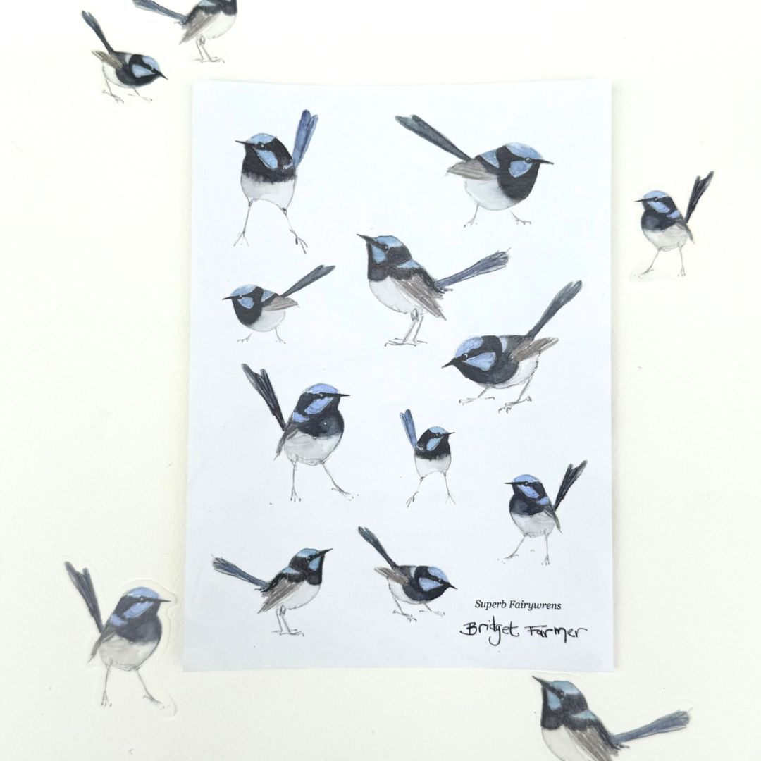 Superb Fairywren Washi Sticker Sheet (A6)