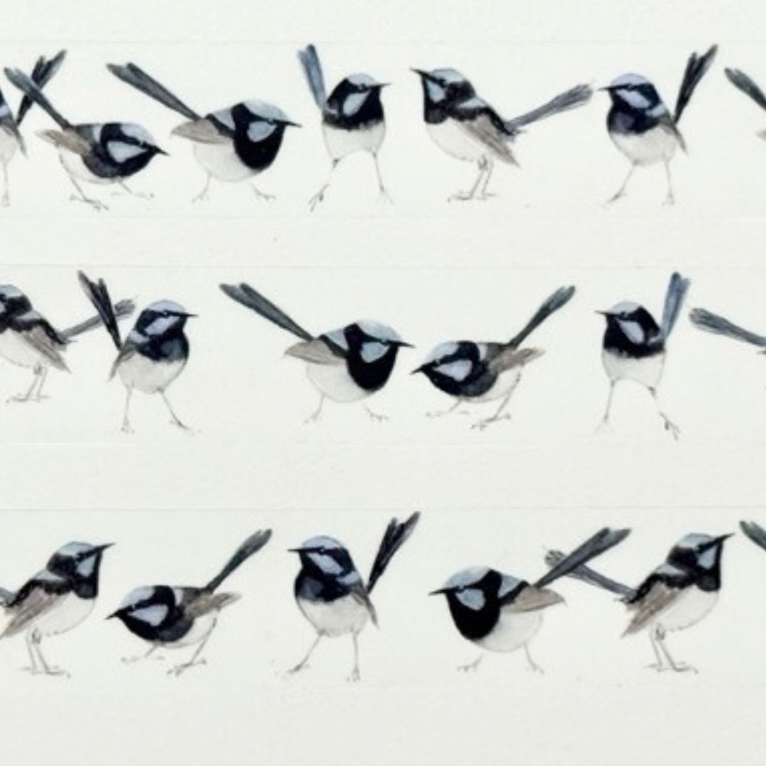 Fairywren Washi Tape (15mm)