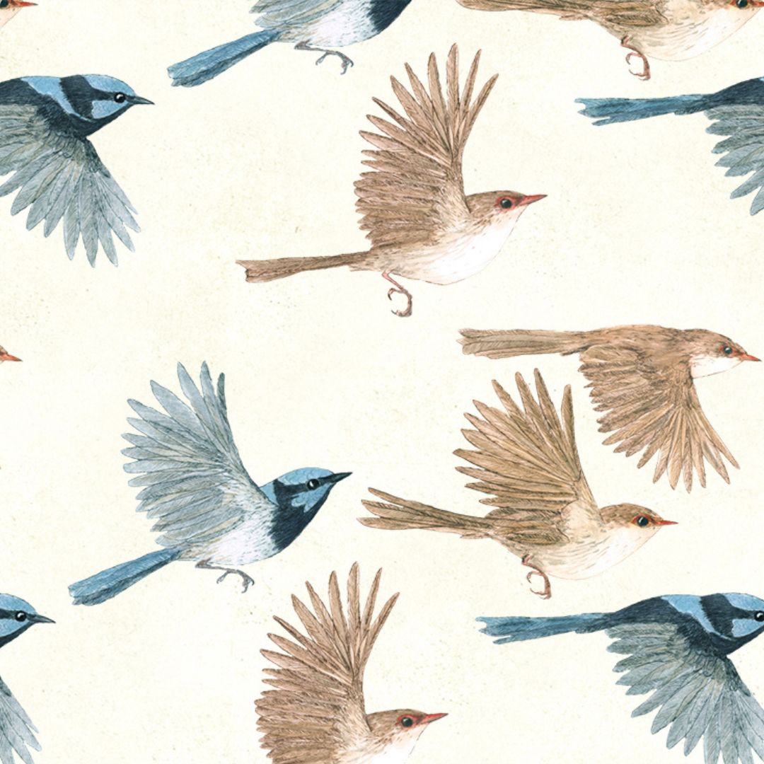 Superb Fairywren Wrapping Paper