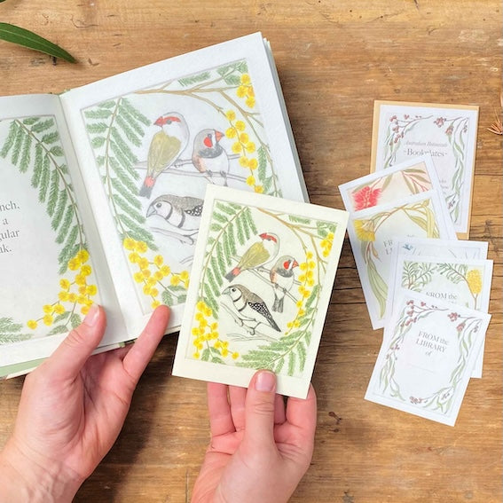 I am a Magpie - 6 Greeting Cards