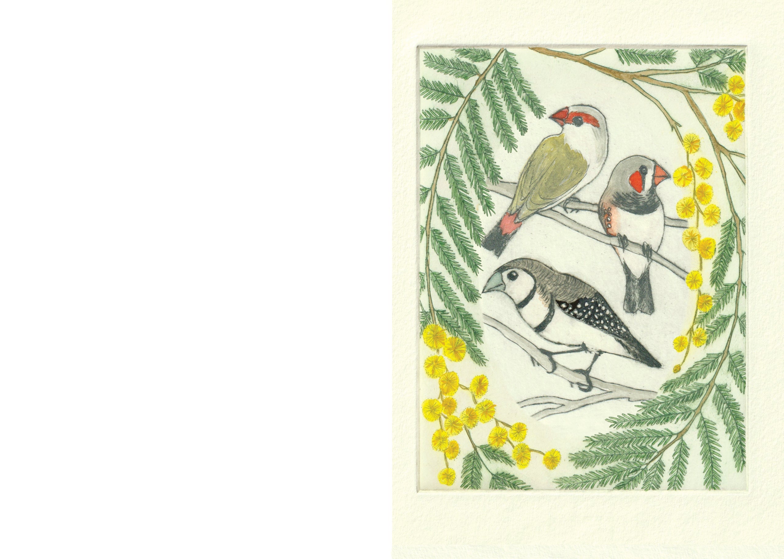 Australian Finches Greeting Card "I am a Magpie" Collection
