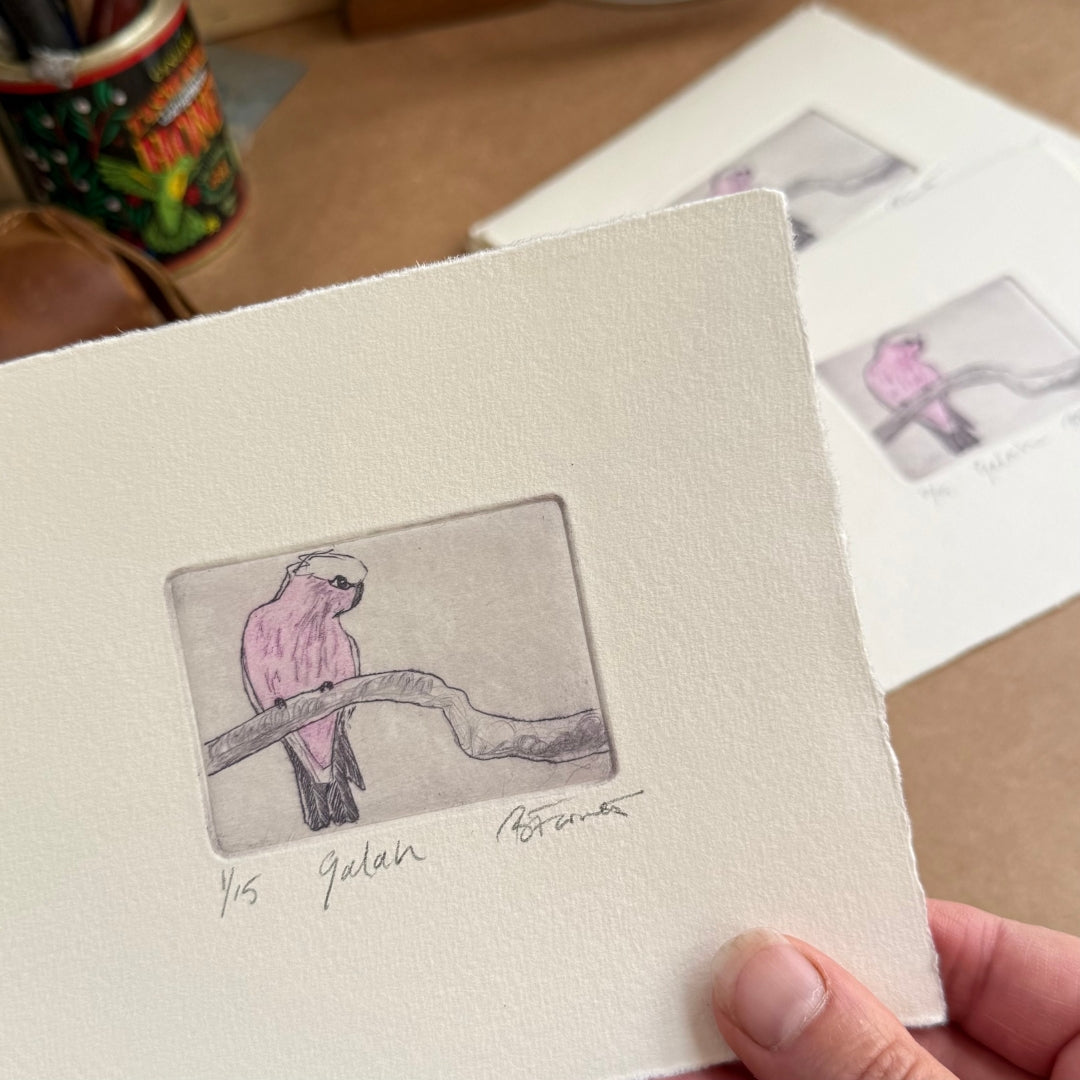 Original Drypoint Etching - Galah
