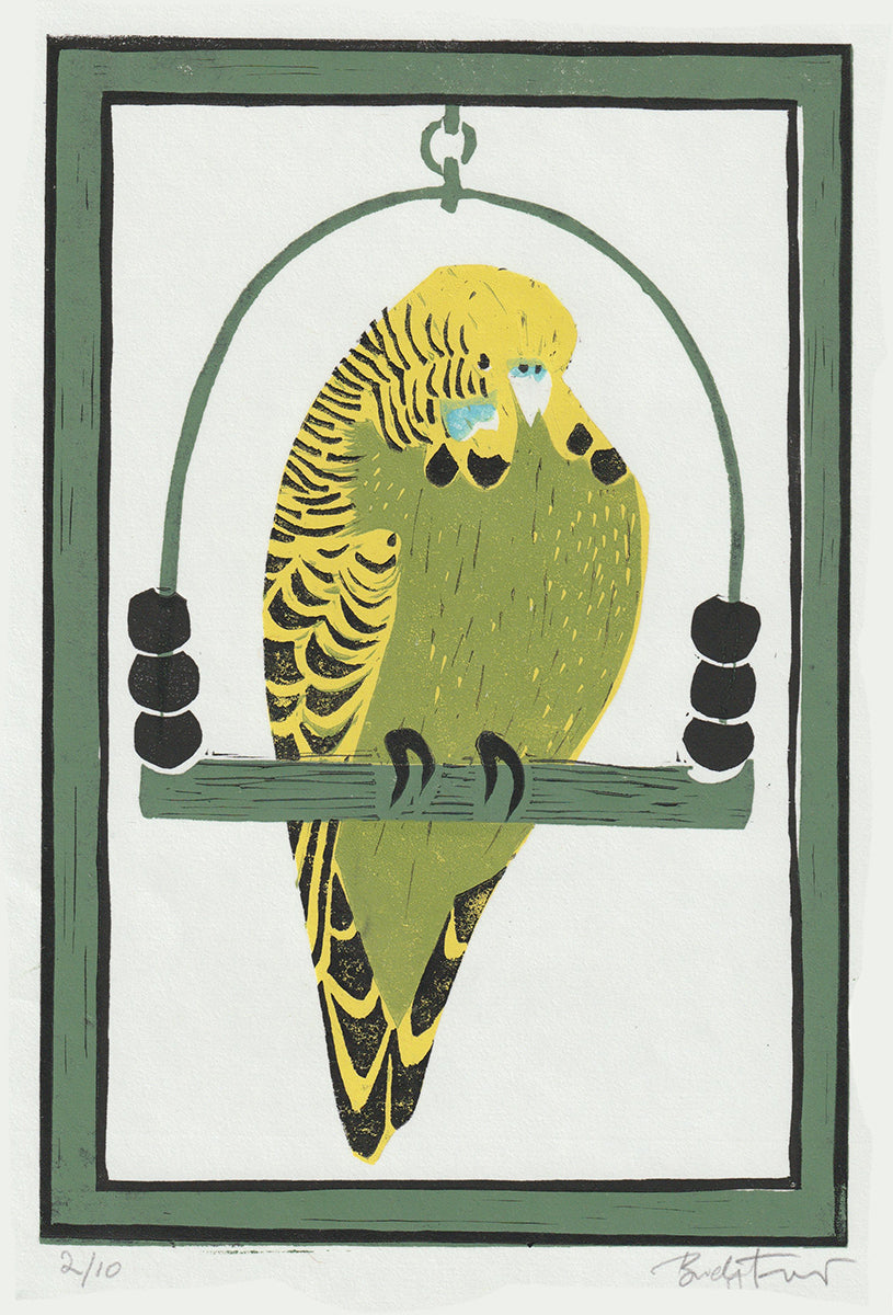 Linoprint - Green Budgie