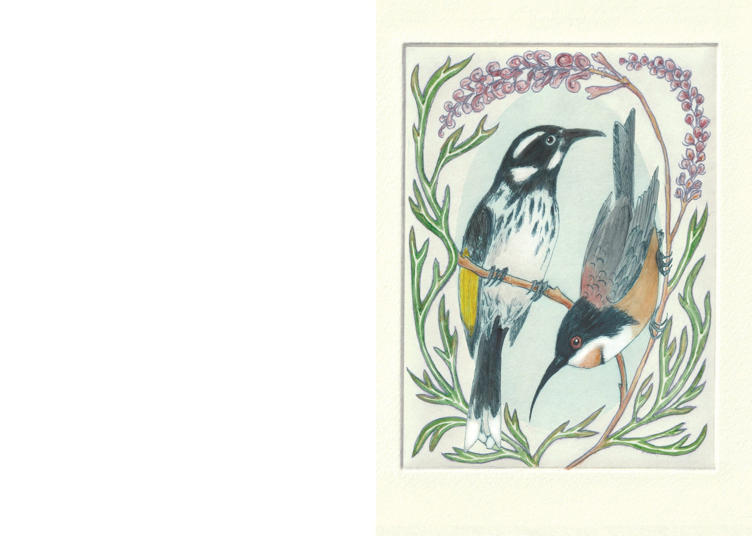 Honeyeaters Greeting Card "I am a Magpie" Collection