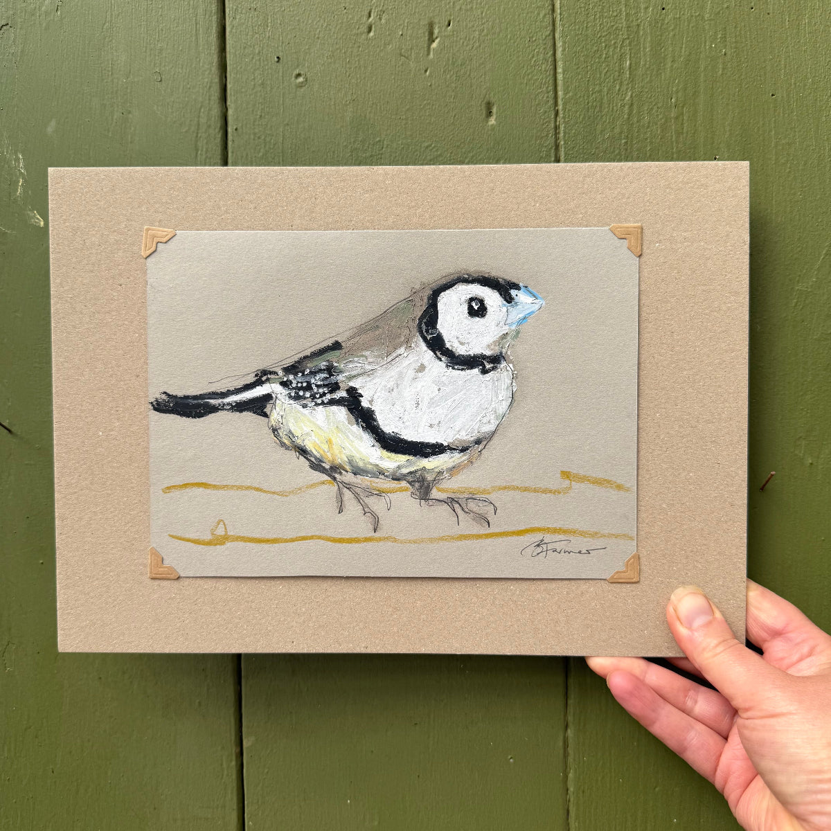 a double-barred finch drawn in oil pastels and graphite by Bridget Farmer