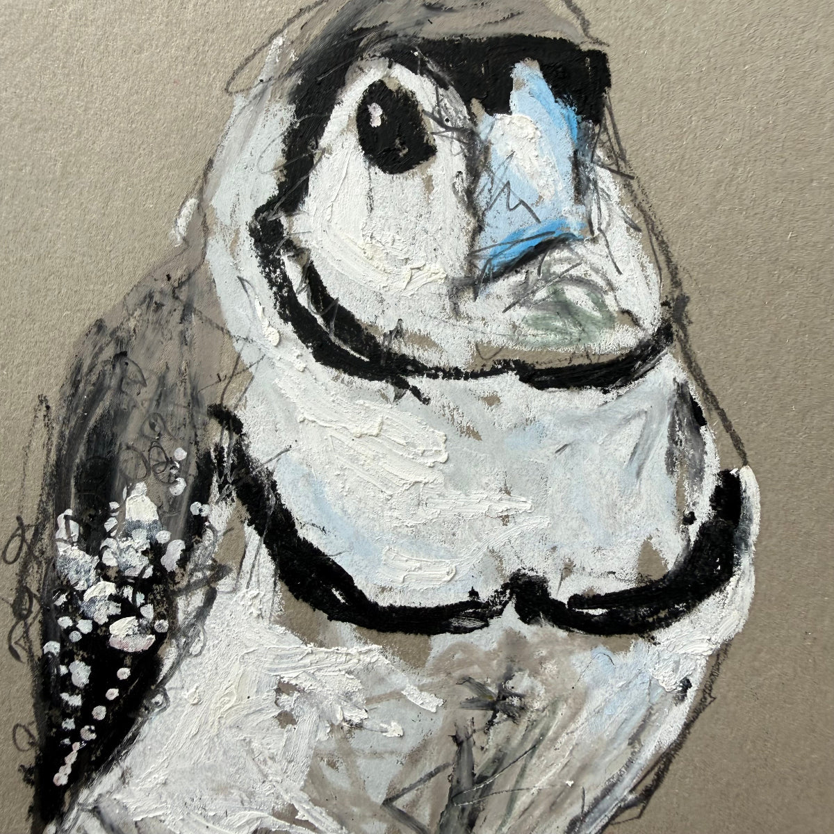 a double-barred finch drawn in oil pastels and graphite by Bridget Farmer