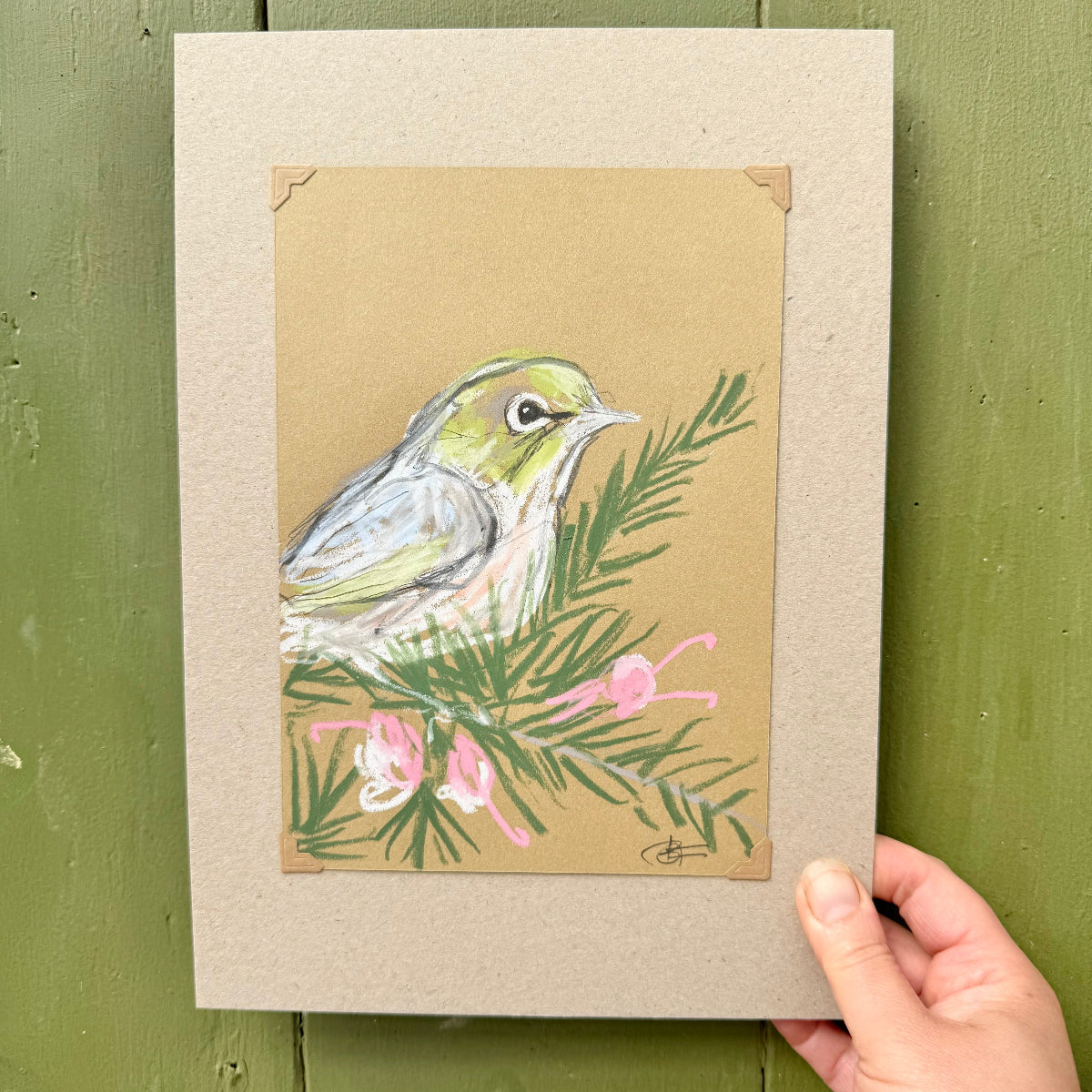 Silvereye - A5 Original Drawing (D61)
