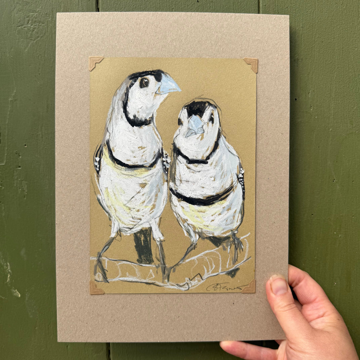 a double-barred finch pair drawn in oil pastels and graphite by Bridget Farmer