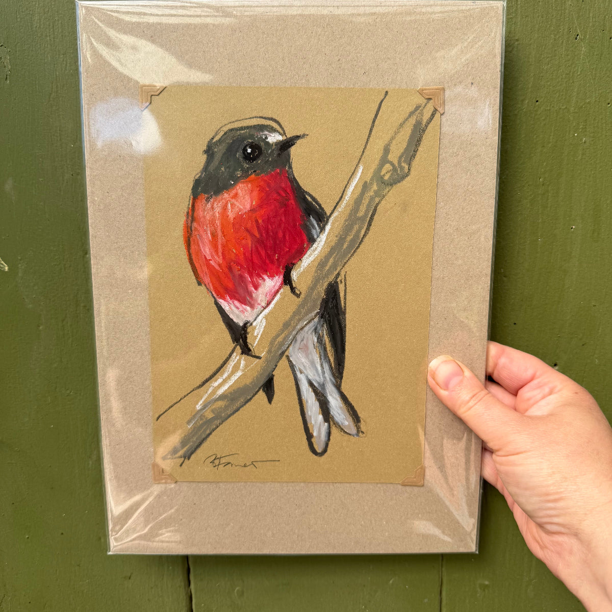 a flame robin drawn in oil pastel and graphite by Bridget Farmer