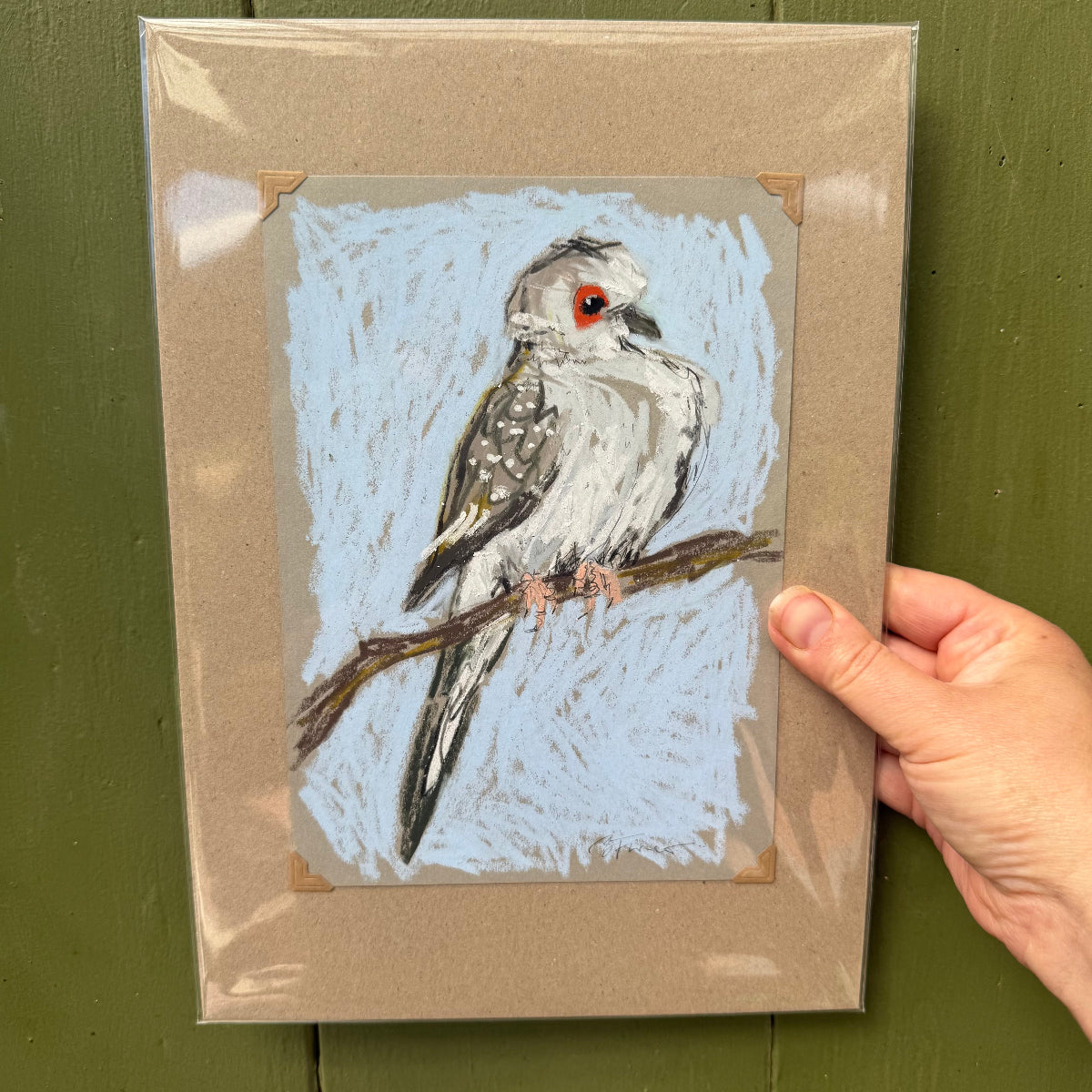 a diamond dove drawn in oil pastel and graphite by Bridget Farmer