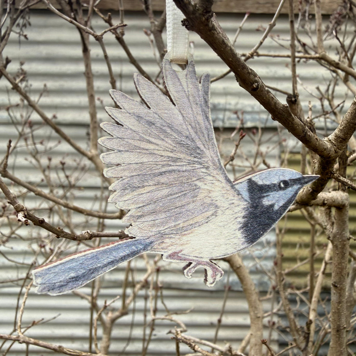 Three Superb Fairywren Christmas Ornaments