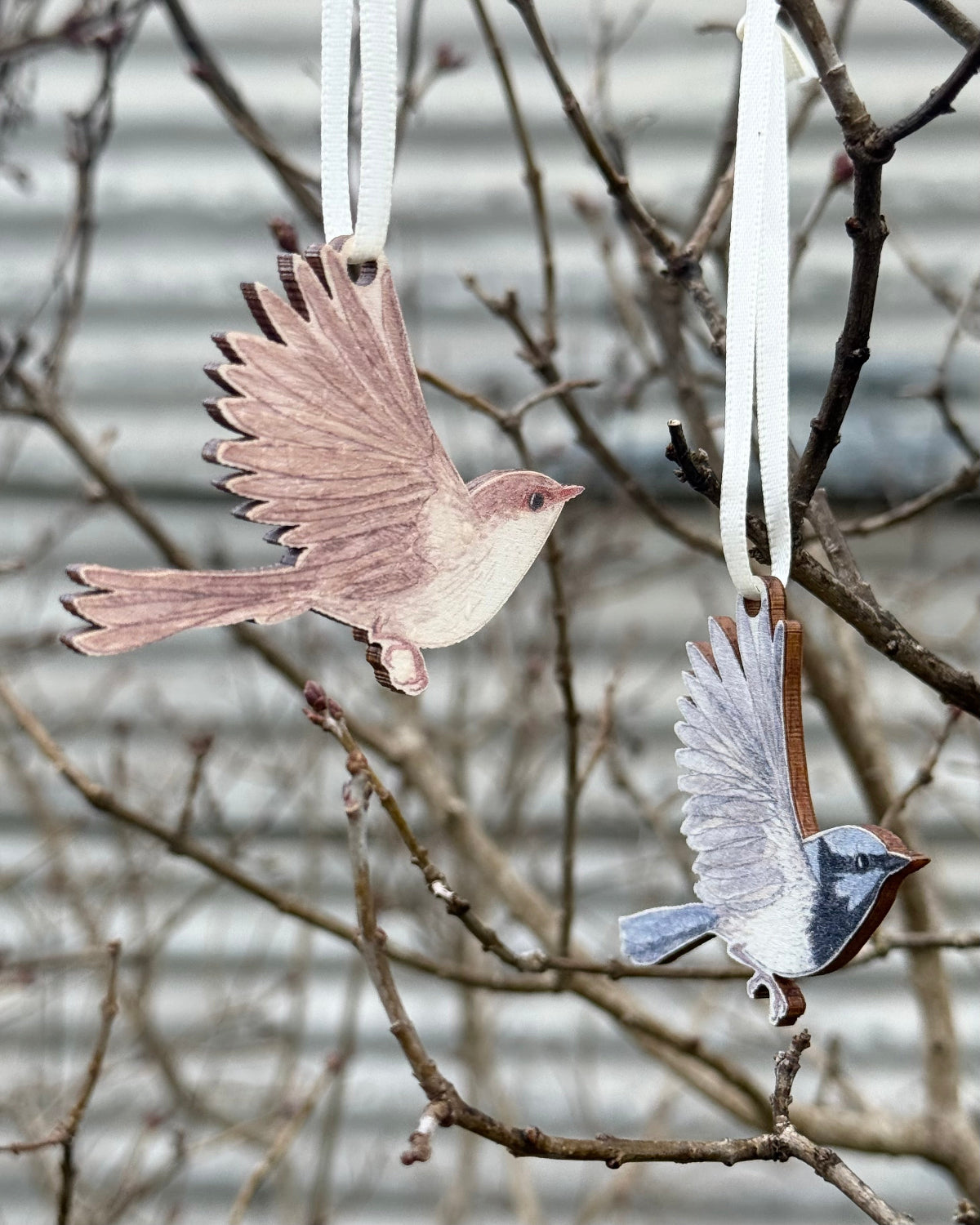 Three Superb Fairywren Christmas Ornaments