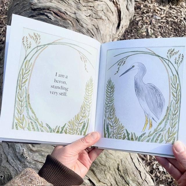 I am a Magpie I am a Currawong - A child's first bird book -CBCA 2025 Notables List