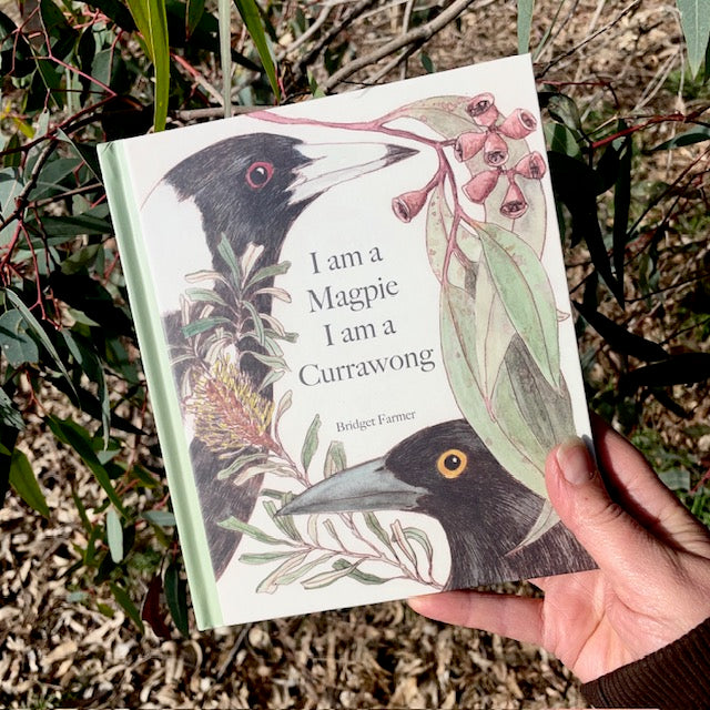 PREORDER ~ I am a Magpie I am a Currawong - A child's first bird book ~ PREORDER