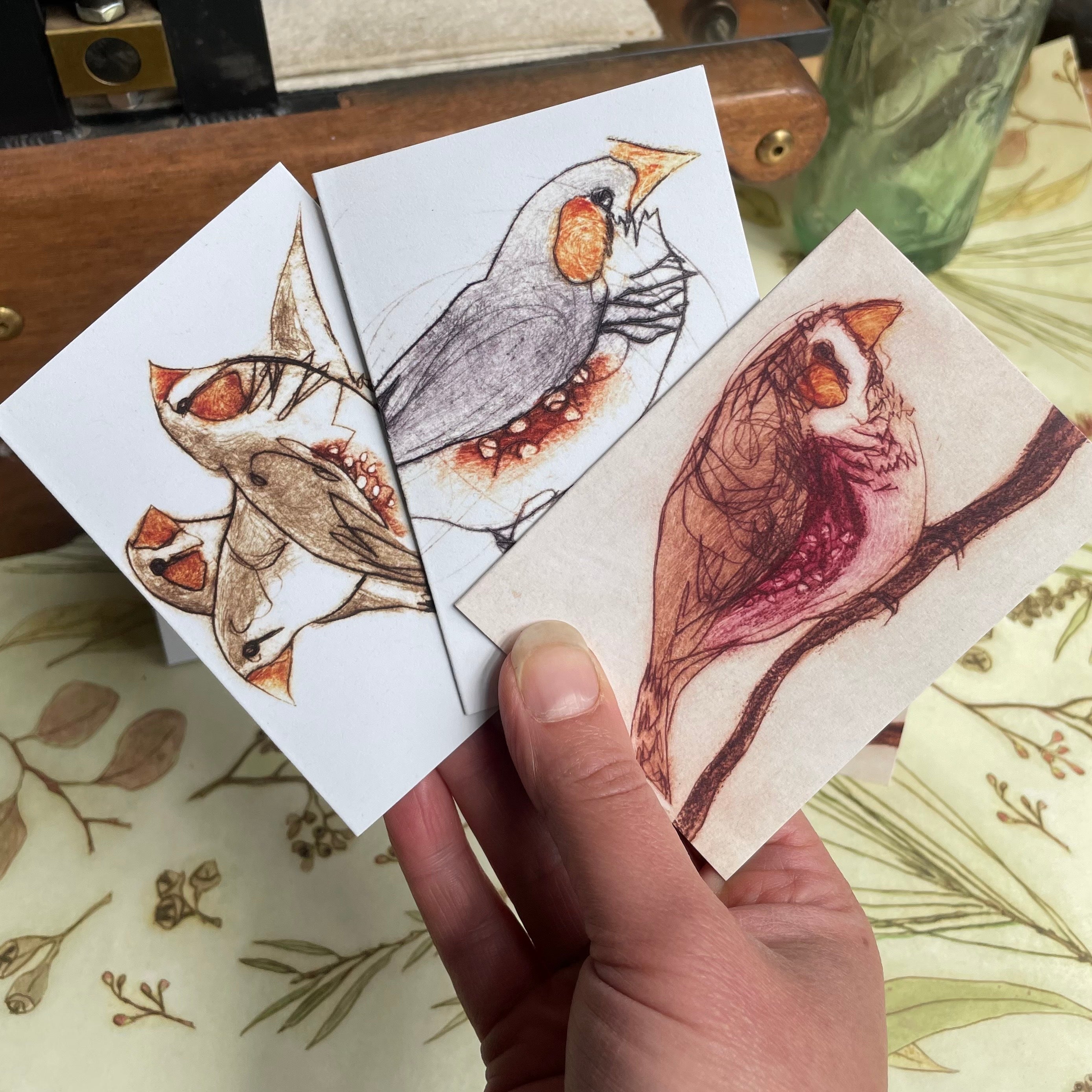 Finch Mini Cards - Set of 6