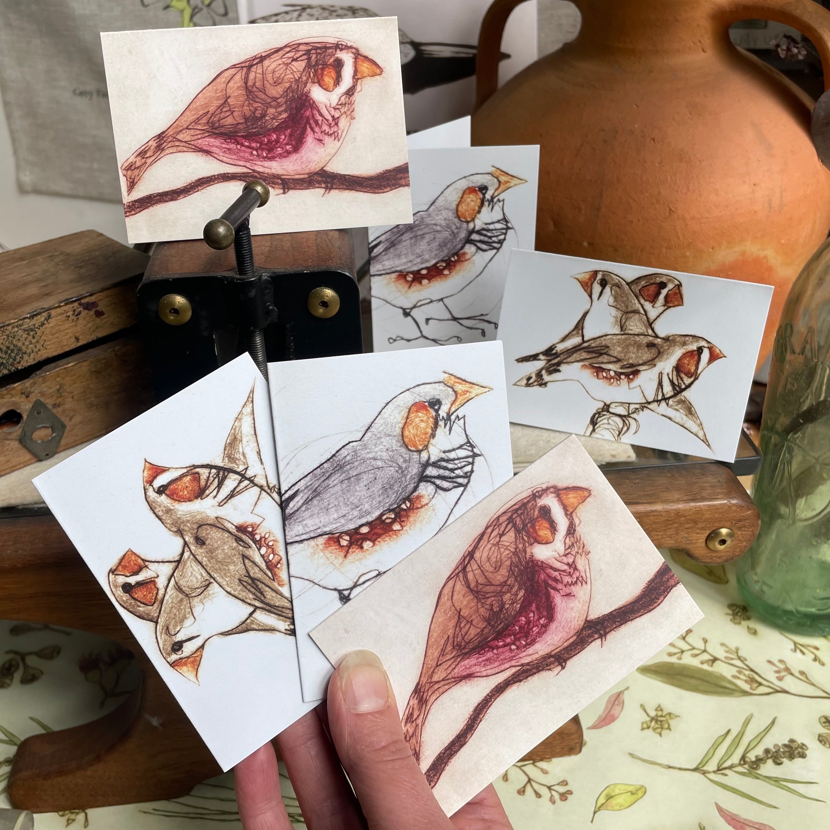 Finch Mini Cards - Set of 6