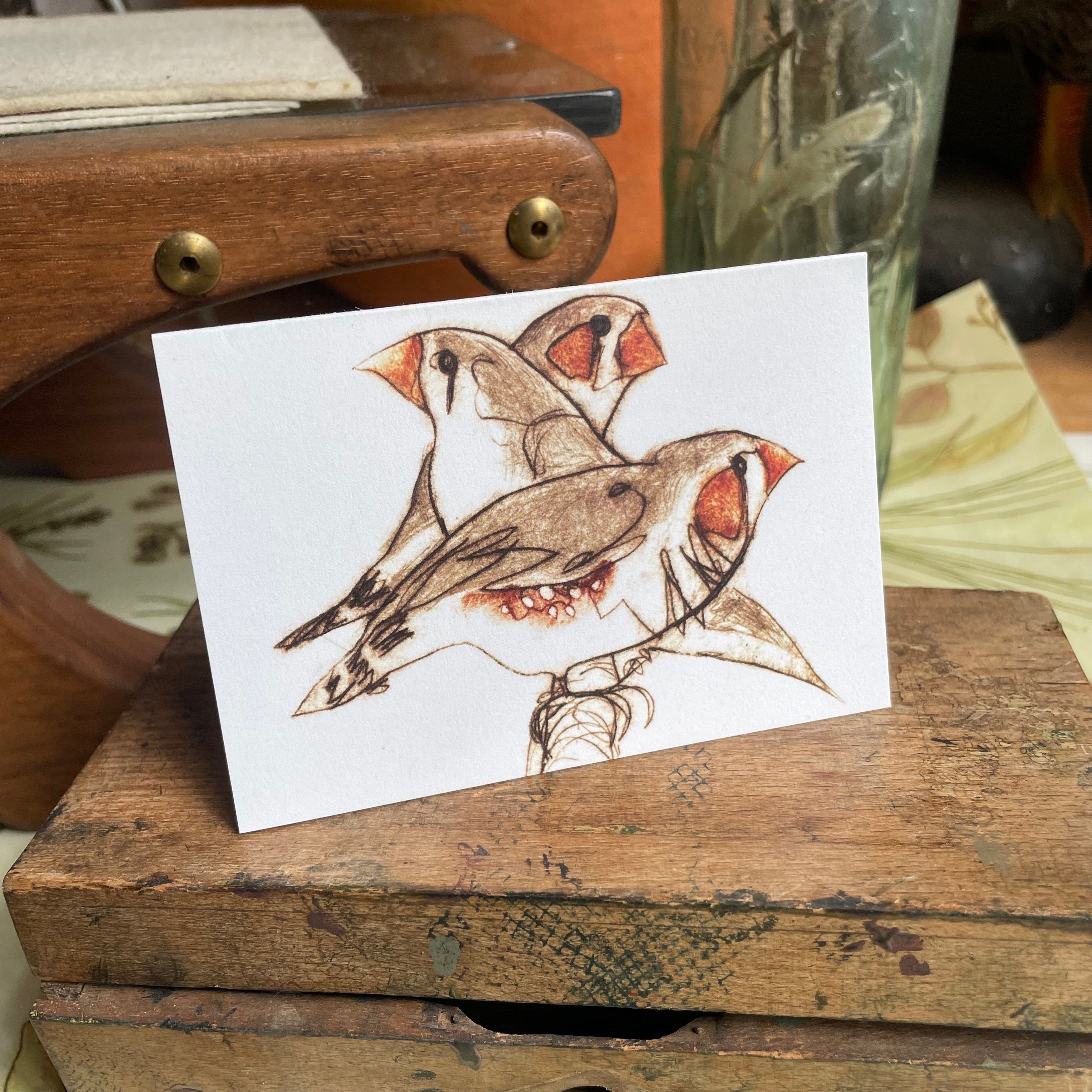 Finch Mini Cards - Set of 6