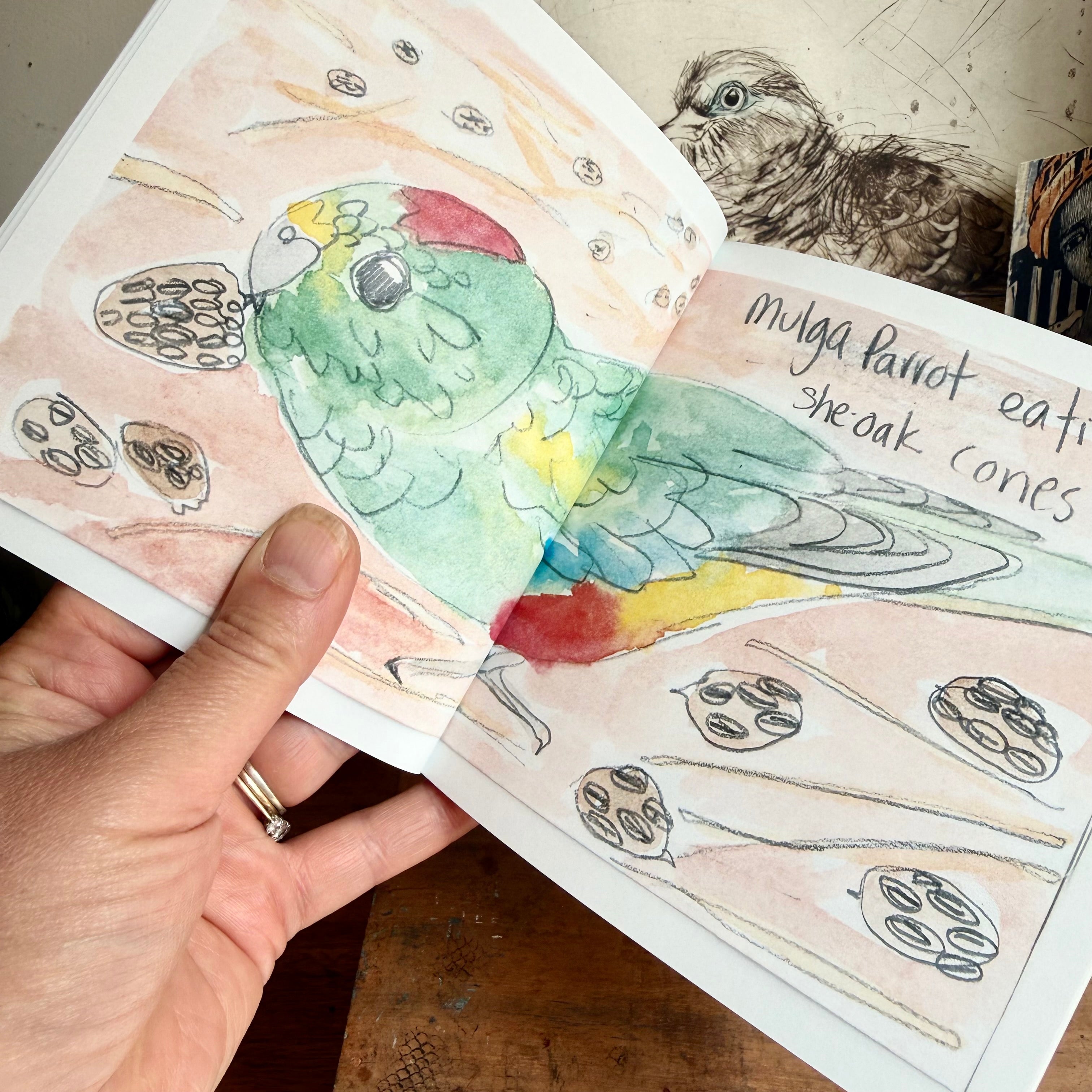 Colorful parrot illustration on a piece of paper held by a hand.