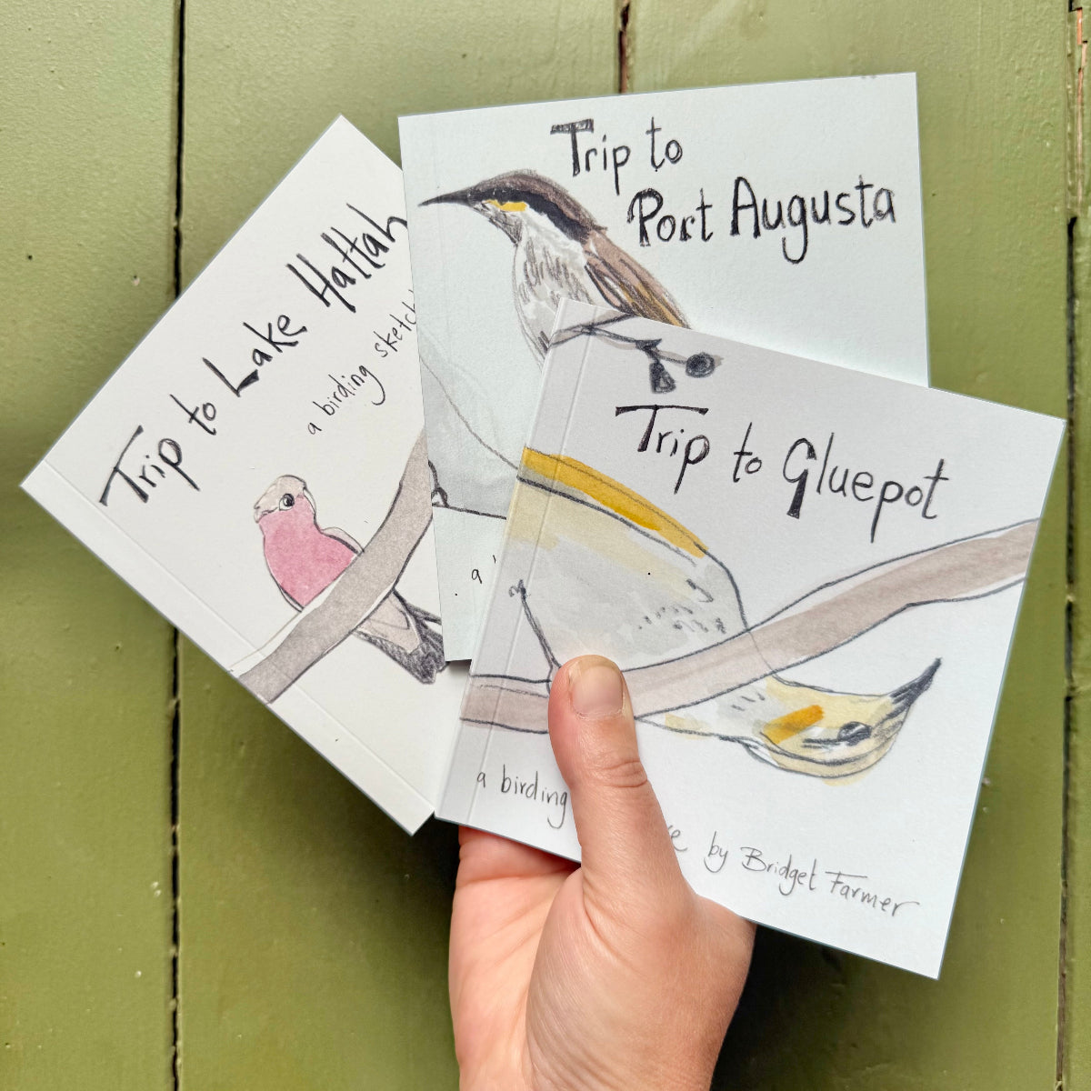 Three minibooks about birding adventures