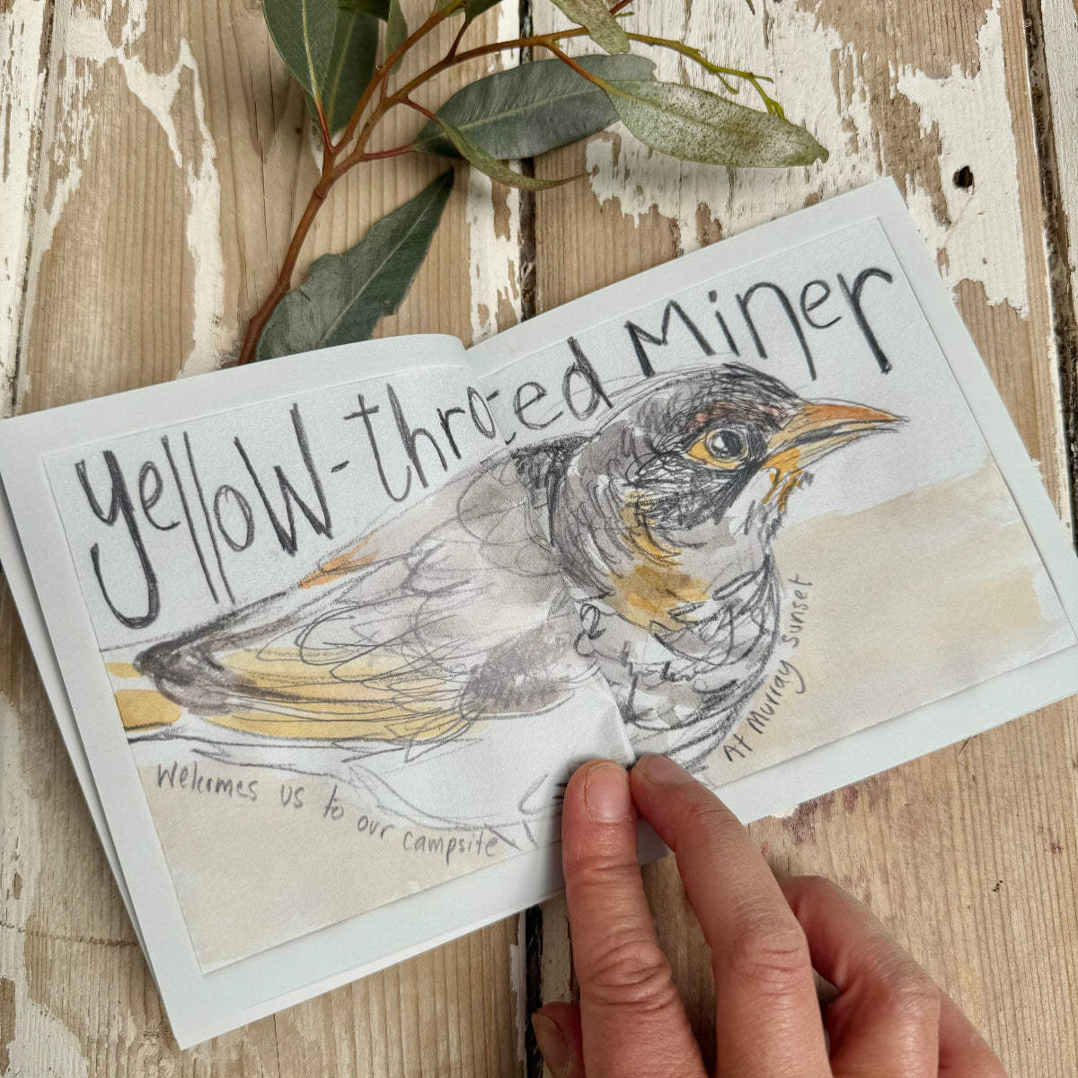 Illustration of a yellow-throated miner on a wooden surface with a hand holding the paper.
