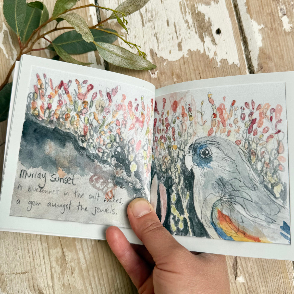 Open book with illustrations of a parrot and nature scenes on a wooden surface.