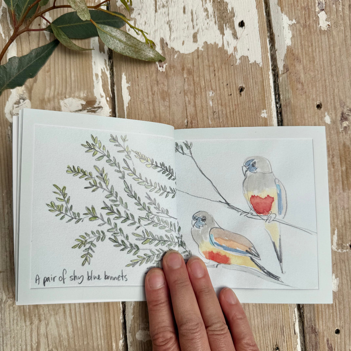 Open book with illustrations of plants and birds on a wooden surface